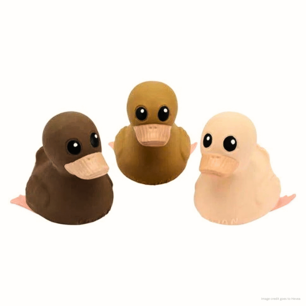 Image shows three duck toys of different colors with a clear text that show the image credit goes to Hevea.